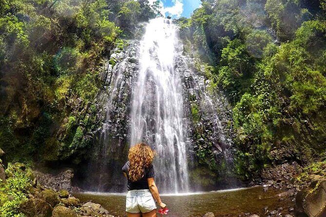 Private Materuni Waterfalls, Coffee Tour and Kikuletwa Hot Spring - Who Will Love This Tour?
