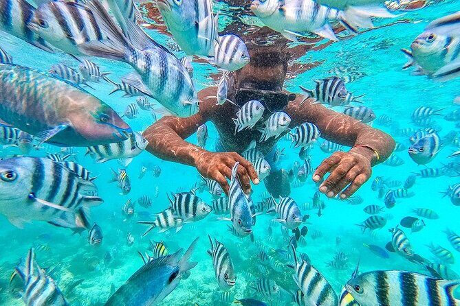 Private Mnemba Island and Turtle Aquarium Tour - Who Will Love This Tour