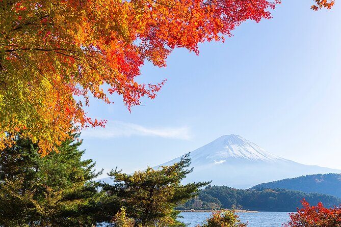 Private Mount Fuji and Hakone City Tour from Tokyo - The Itinerary Deep Dive