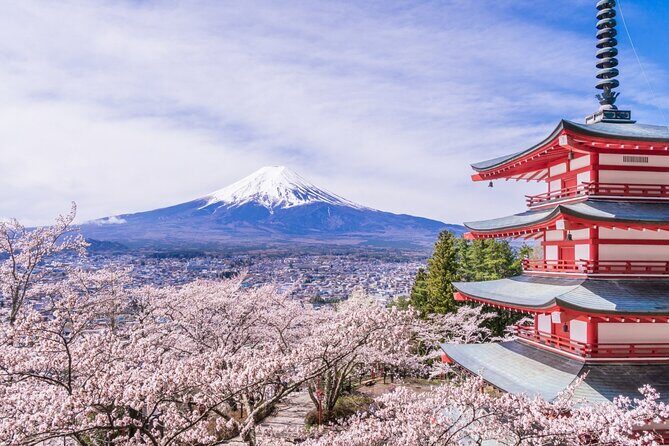 Private Mt. Fuji Custom Tour from Tokyo - Fuji Sengen Shrine – Cultural Reflection