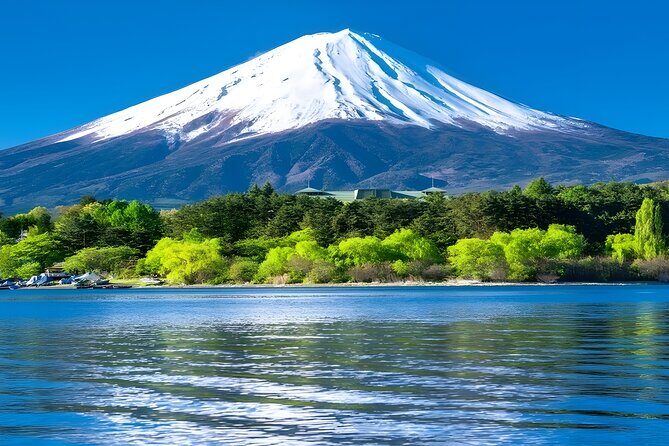 Private Mt. Fuji Day Trip from Tokyo with English-Speaking Driver - Who Should Consider This Tour?