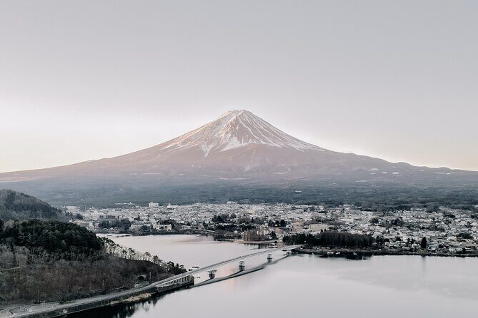 Private Mt Fuji, Hakone and Tokyo Tour - English Speaking Driver - The Practical Side: Transportation, Timing, and Value