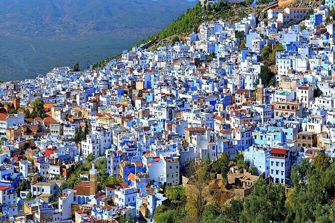 Private Multi-Day Desert Tour from Marrakech to Chefchaouen - Who Should Consider This Tour?