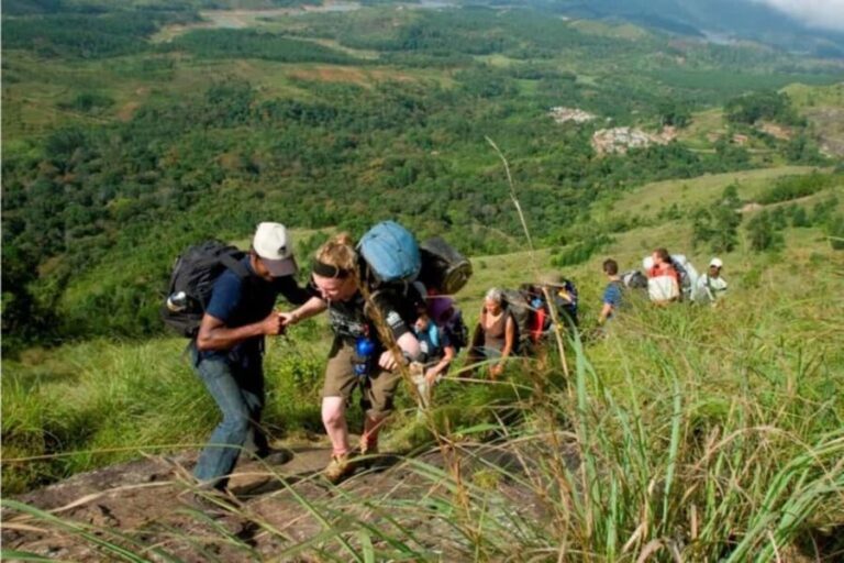 "Private Munnar Day Tour: Trekking & Scenic Highlights" - Practical Considerations and Value