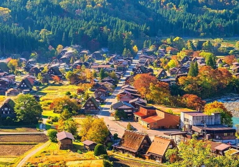 Private Nagoya & Shirakawa-go w/ English Driver - The Itinerary Breakdown