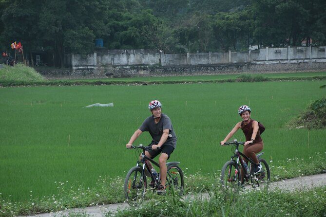 Private Ninh Binh Full Day (Bich Dong -Tam coc -Mua cave- Biking) - Transport and Comfort