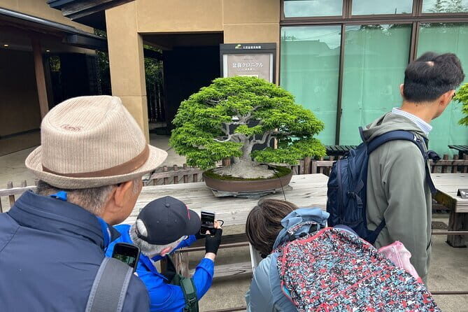 Private Omiya Bonsai Village Tour with Licensed Guide - What Travelers Say: Authenticity and Knowledge