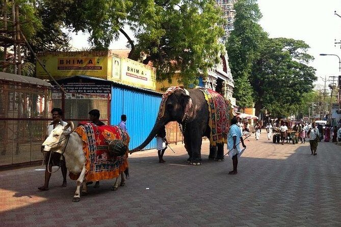 Private Once Upon A Madurai Trail Walking Tour - Final Thoughts: Is It Worth It?