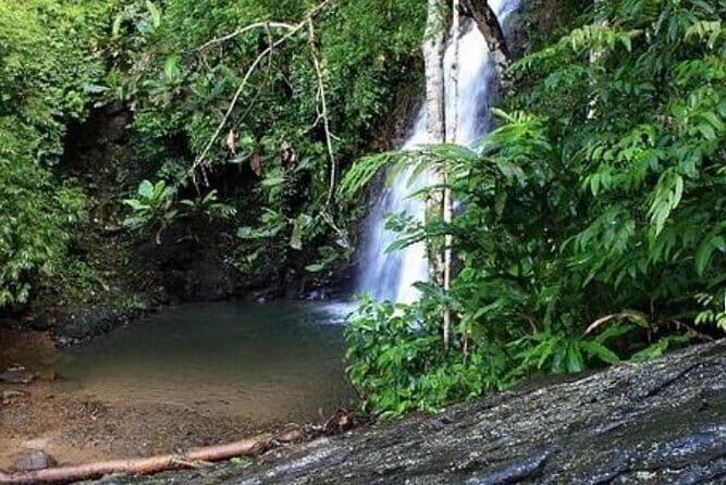 Private One Day Highlights Langkawi Tour Including Cable Car And Sky Bridge - Who Would Enjoy This Tour?