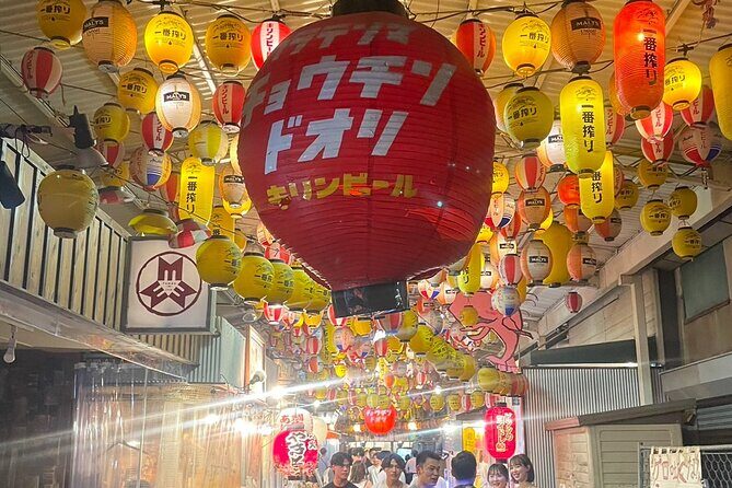 Private Osaka Tour with Hotel Meet Up - The Practicalities