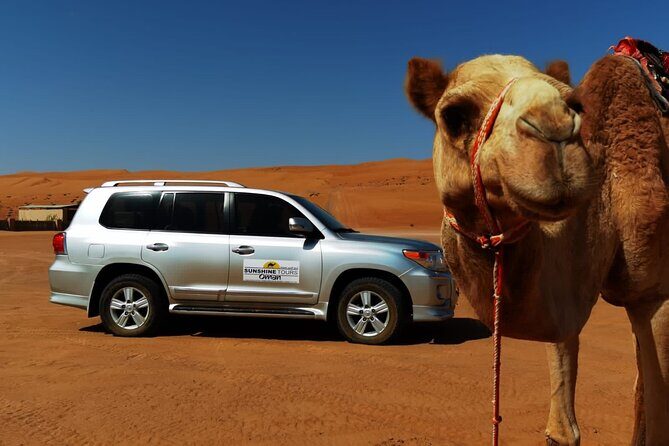 Private Overnight camping to Wahiba Sands Desert - Final Thoughts