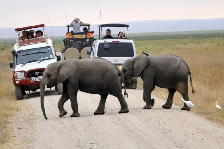 Private Overnight Maasai Mara Safari Tour from Nairobi - Analyzing the Value