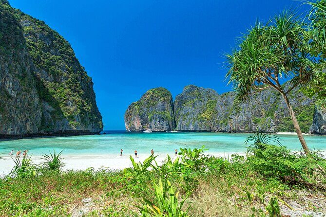 Private Phi Phi Islands & Bamboo Full Day Tour with snorkeling - Monkey Bay and Local Wildlife