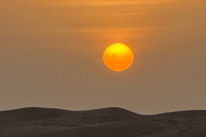 Private Safari tour and Wadi in 4x4 with a local guide - What Travelers Love Most