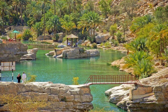 Private Safari Wahiba Sands and Wadi Bani Khalid from Muscat - Who Will Love This Tour?