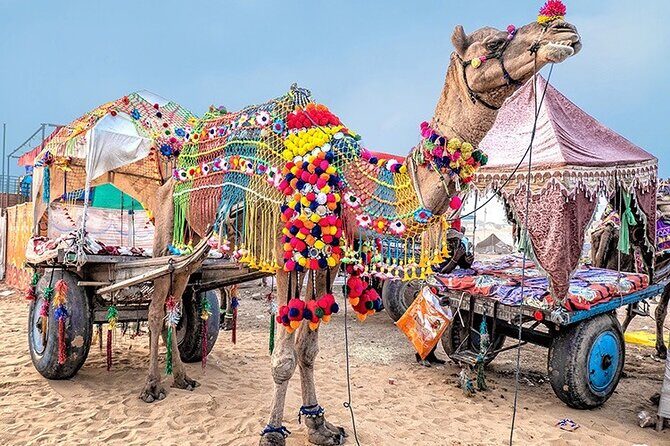 Private Same Day Trip to Pushkar from Jaipur - Walk Through Pushkar’s Vibrant Markets and Historic Sites
