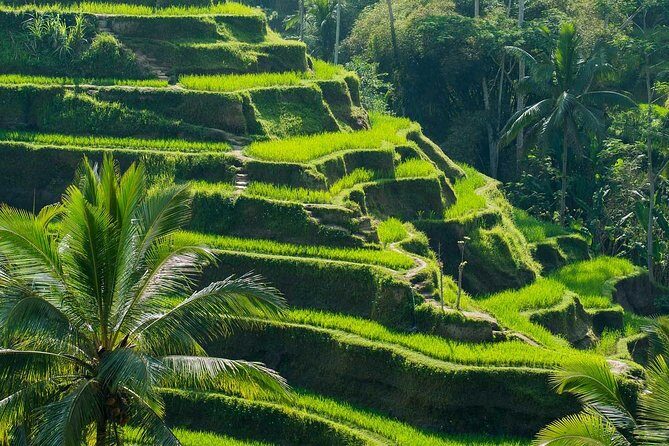 Private Shore Excursion: Customized Best of Bali Tour - What You Can Expect from the Itinerary
