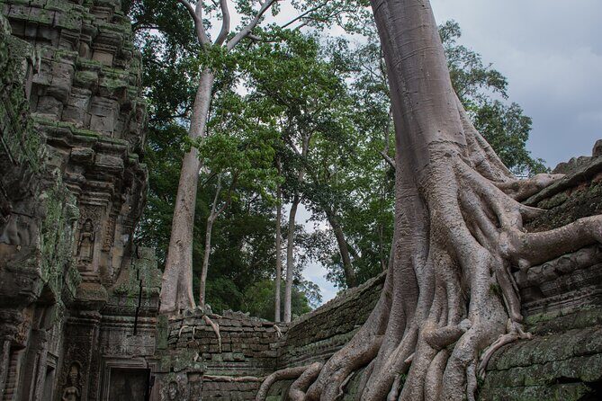 Private Siem Reap Airport Transfer to hotel in town - Who Is This Service Best For?