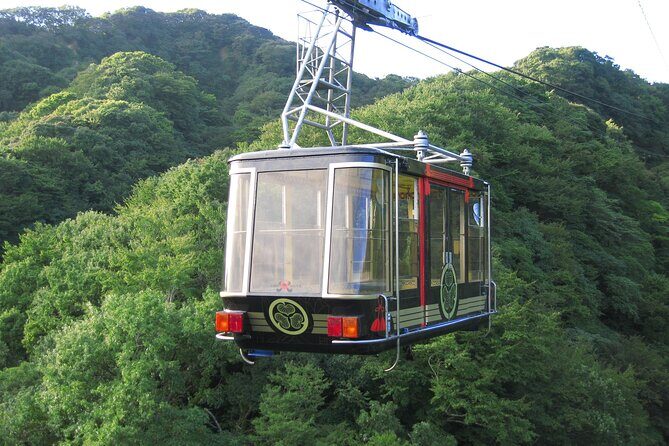 Private Sightseeing Tour from Shimizu Port /Small Bus - Who Would Love This Tour?