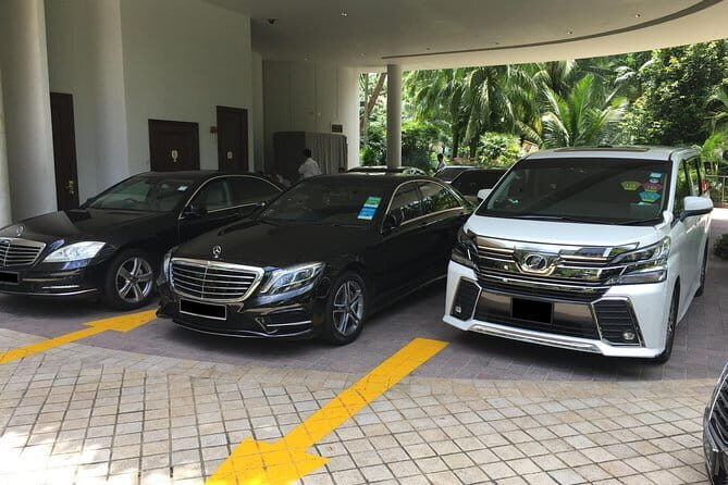 Private Singapore Arrival Transfer: Airport or Cruise Terminal to City - Price and Value