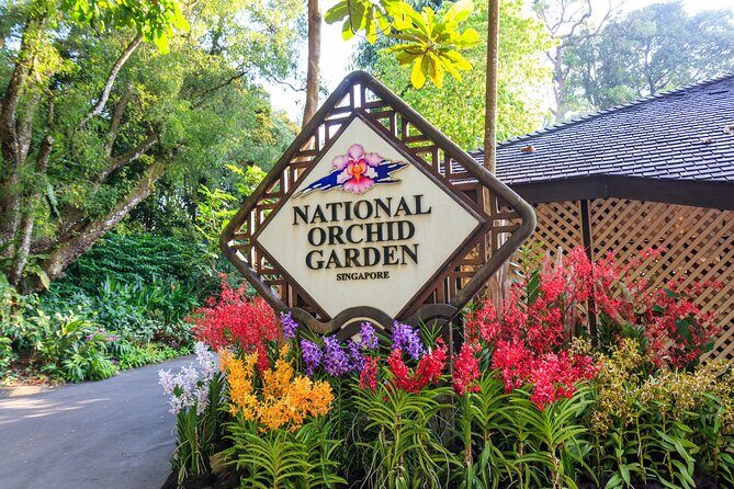 Private Singapore City Tour and National Orchid Garden - A Closer Look at the Itinerary
