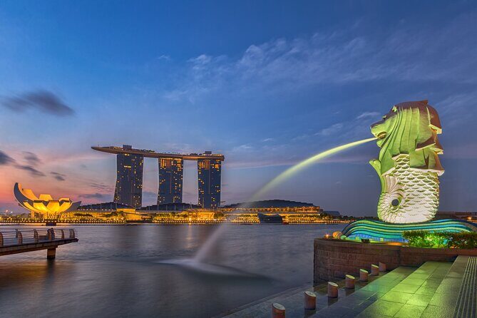 Private Singapore Customized Tour With Driver in small group - How the Experience Works