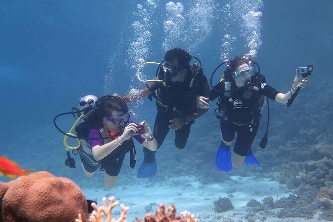 Private Snorkeling day Trip with Paradise Island or Orange Bay - Why This Tour Offers Great Value