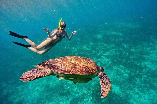 Private Snorkeling Start Gili Meno and Explore 4 Spots with GoPro - Who Will Love This Tour?