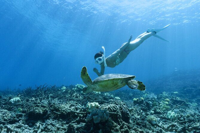 Private snorkeling tour Ishigaki island - Details That Matter