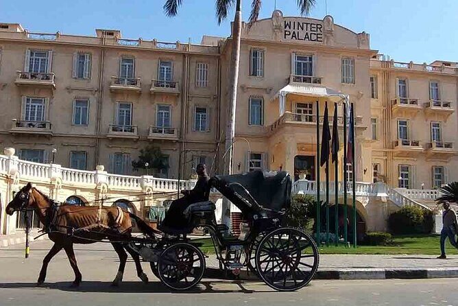 Private Sound and Light Show and Luxor City Tour by Carriage (3 * 1) - What Travelers Are Saying