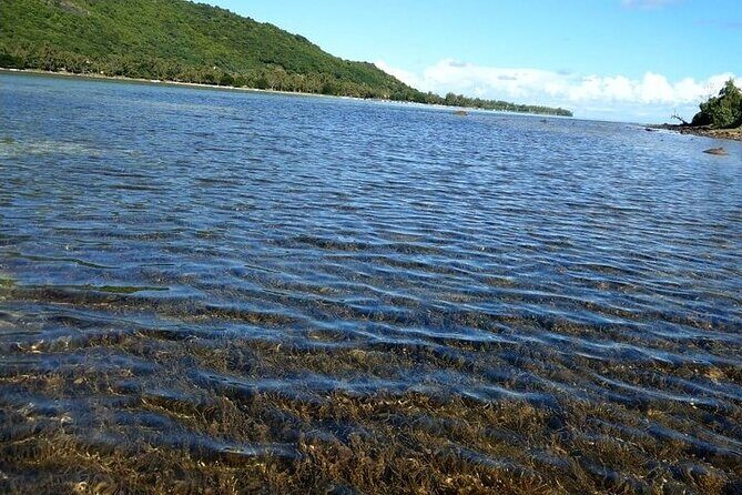 Private southwest of Mauritius: Barbecue Lunch at Îlot Fourneau - The Sum Up