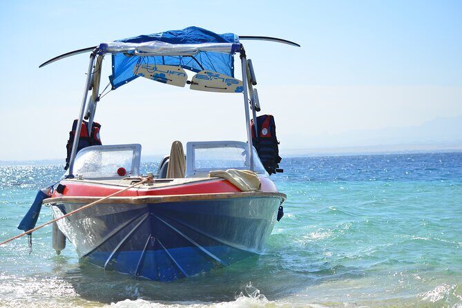 Private Speed Boat & Swim With Dolphins & Water Sports-hurghada - The Practicalities: What You Need to Know