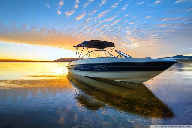 Private Speed Boat Tour and Dolphin Encounter at Ile aux Benitier - The Sum Up