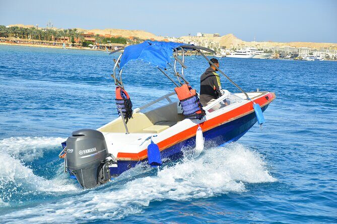 Private Speedboat Excursion Dolphin House Discovery - Hurghada - The Itinerary in Detail