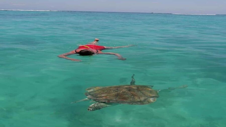 Private Speedboat to Bernache Island & Mauritius Mangroves - What Reviewers Say