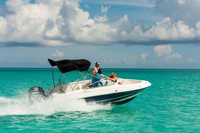 Private Speedboat To Dolphin House With Parasailing - Hurghada - Value and Overall Impression
