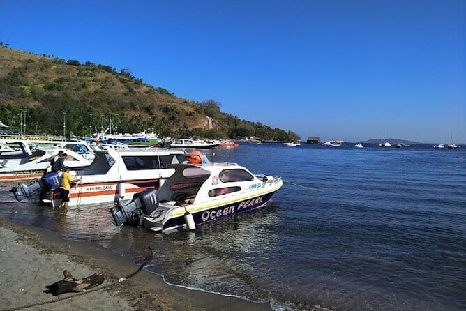 Private Speedboat transfer Between Lombok and Gili Islands - Departure Flexibility and Ease