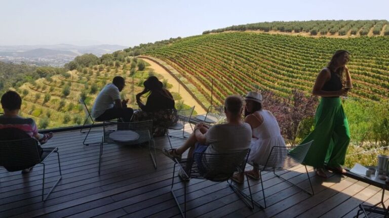 Private Stellenbosch and Franschhoek Wine Tour - What Makes This Tour Special?