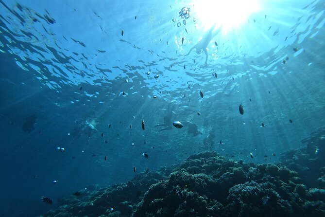 Private Sunset & Snorkeling Tour in Hurghada - The Sum Up: Who Will Love This Tour?