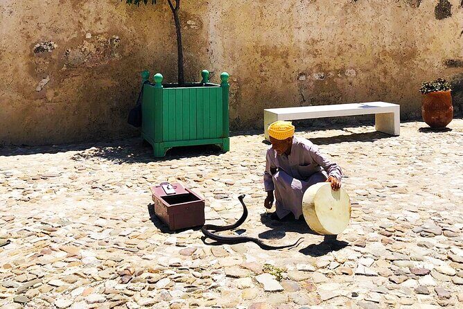 Private Tangier Full day Tour - Final Thoughts: Is This Tour Right for You?