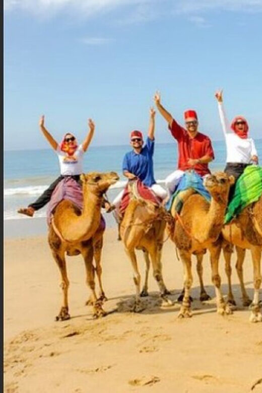 Private Tangier Tour from Gibraltar including Camel & Lunch - Exploring the Best of Tangier’s Sights