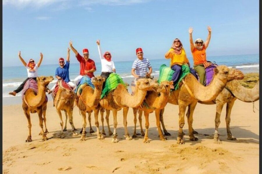 Private Tangier Tour with Lunch and Camel Ride - Authentic Experiences and Traveler Feedback