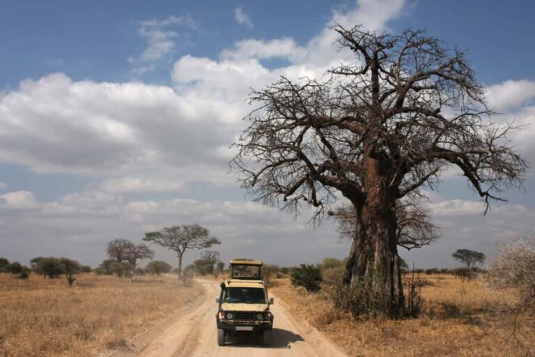 Private Tarangire National Park Day Tour with Lunch - What the Tour Includes and Why It Matters