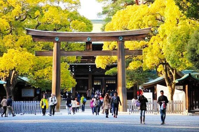 Private Tokyo Custom Half-Day Tour by Chartered Vehicle - Who Will Love This Tour?