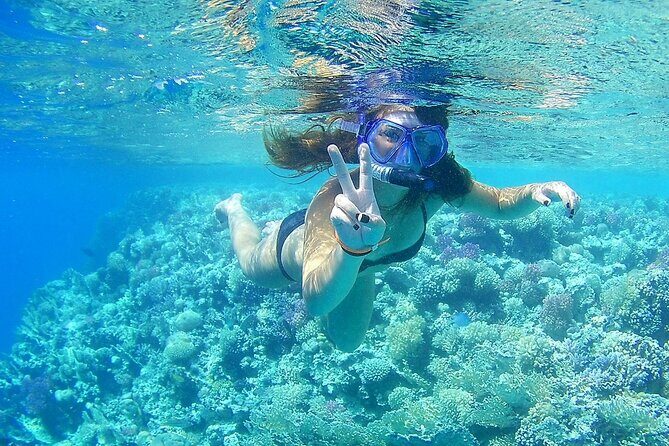 PRIVATE TOUR ! 4-Hours Swiming with dolphins, snorkeling, island by speed boat - Practical Tips for Your Trip