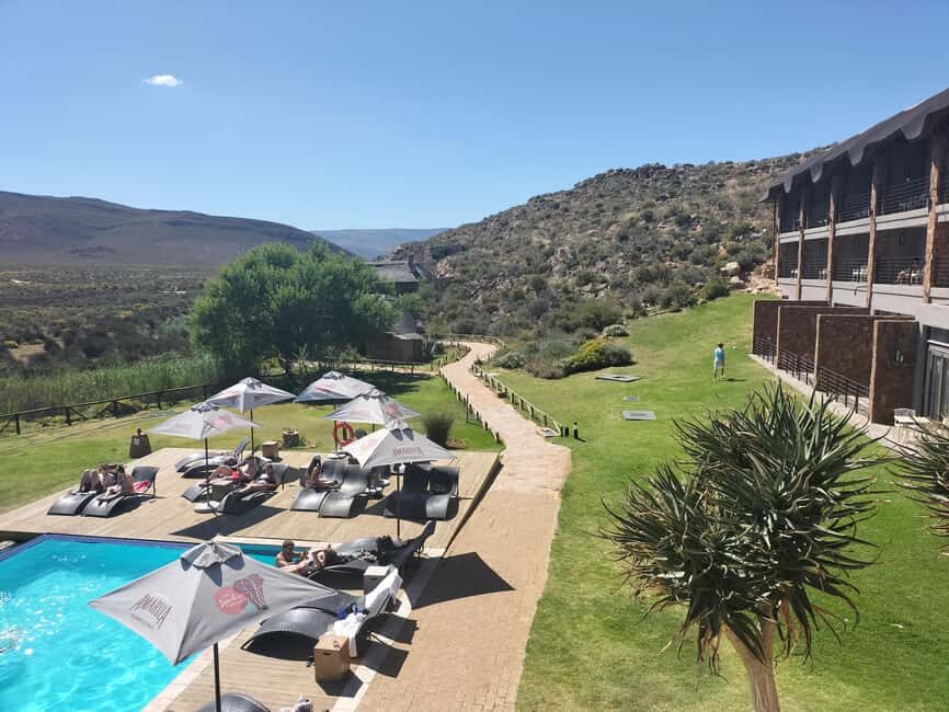 Private Tour: Big 5 Safari, Experience the wild animals - The Journey Begins: From Cape Town to Aquila Game Reserve