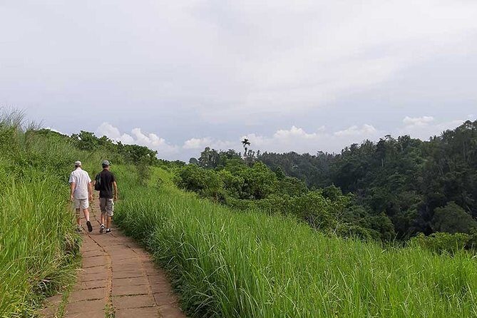 Private Tour: Campuhan Ridge Walk, Ubud Rice Terrace & Ubud Palace - Deep Dive into the Itinerary