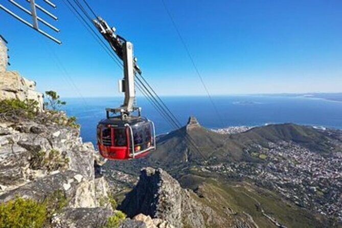 Private Tour Cape of Good Hope-Boulders Penguins from Cape Town - Who Will Love This Tour?