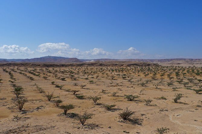 Private tour - Empty Quarter desert adventure - Wadi Dawka + Ubar - Authentic Experiences that Stick With You
