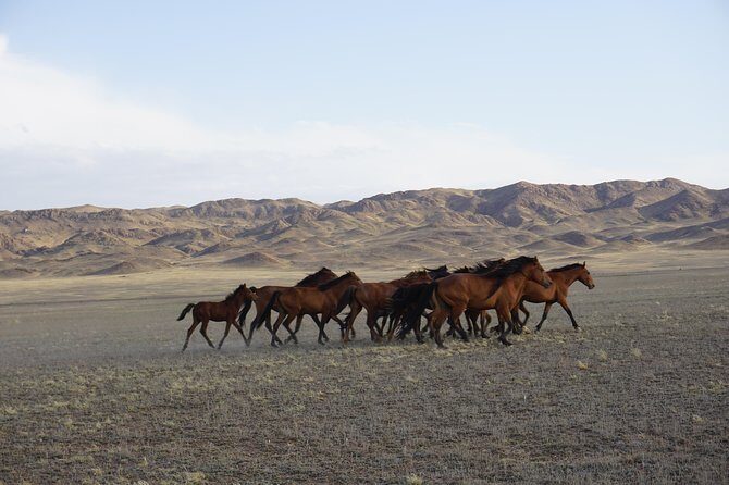 Private tour from Almaty 3 days Altyn emel /Charyn /Kolsay/Kaindy - Real Guest Perspectives